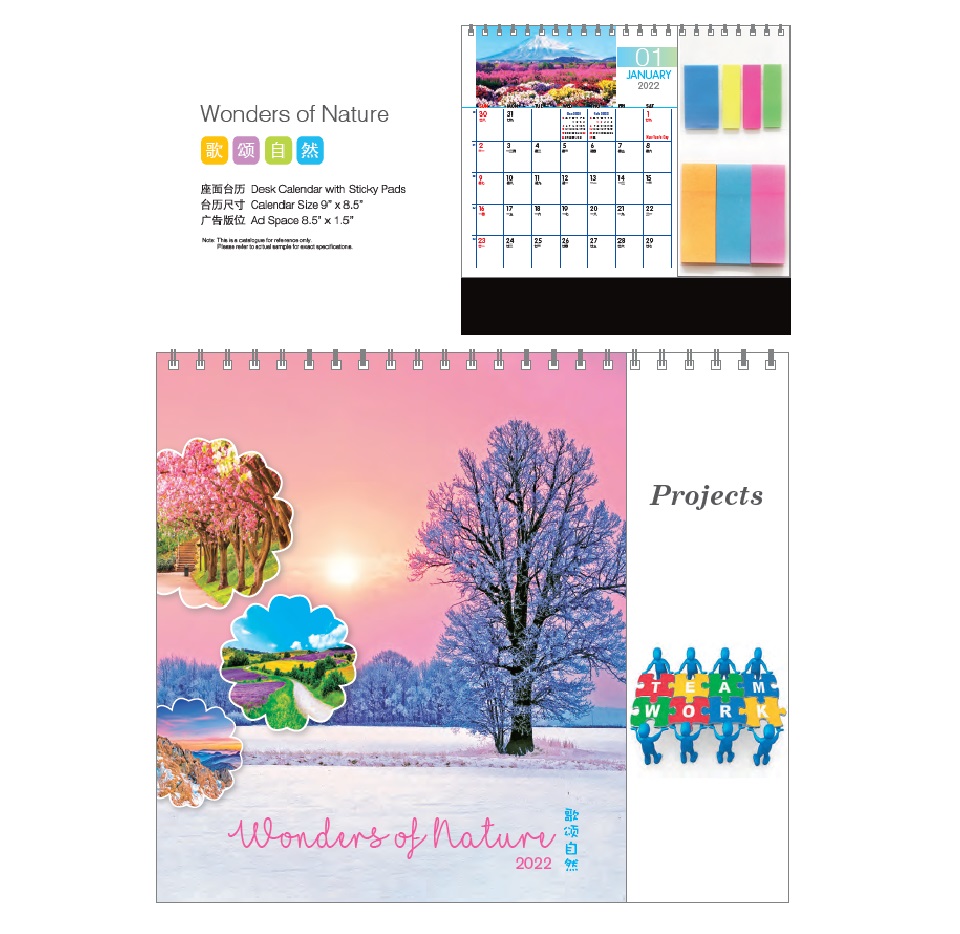 Wire-O Desk Calendar (Wonders of Nature)