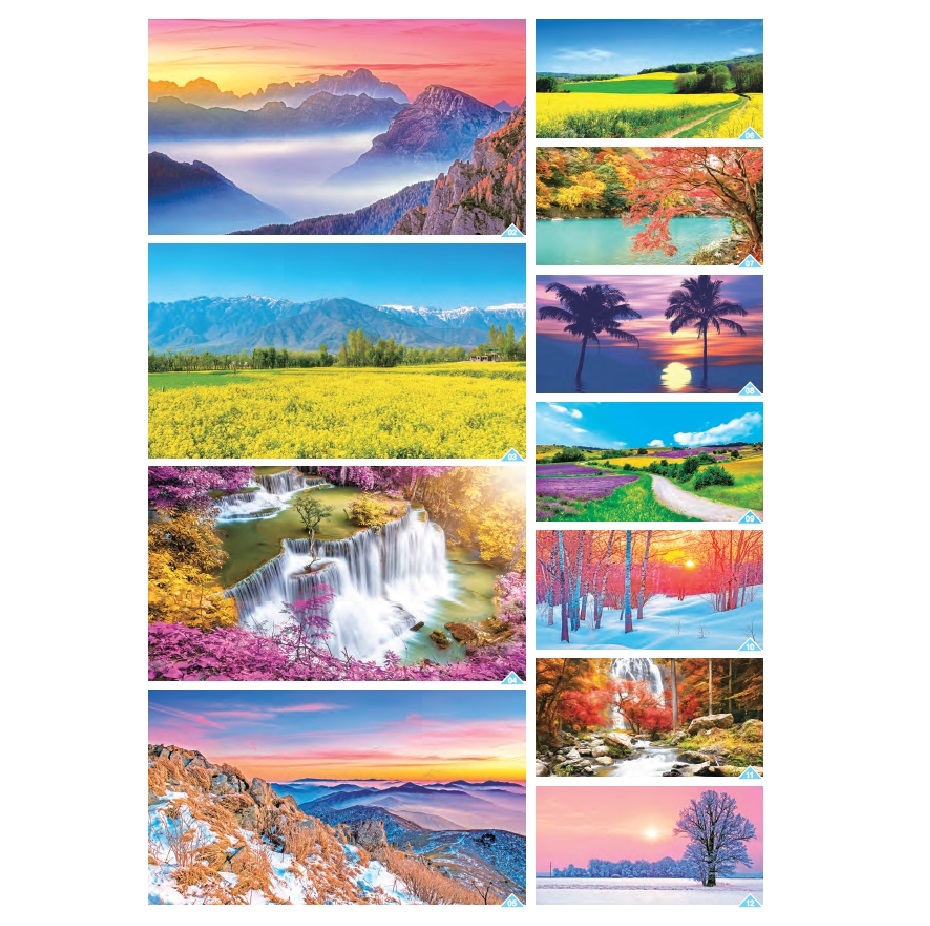 Wire-O Desk Calendars (Wonders of Nature)