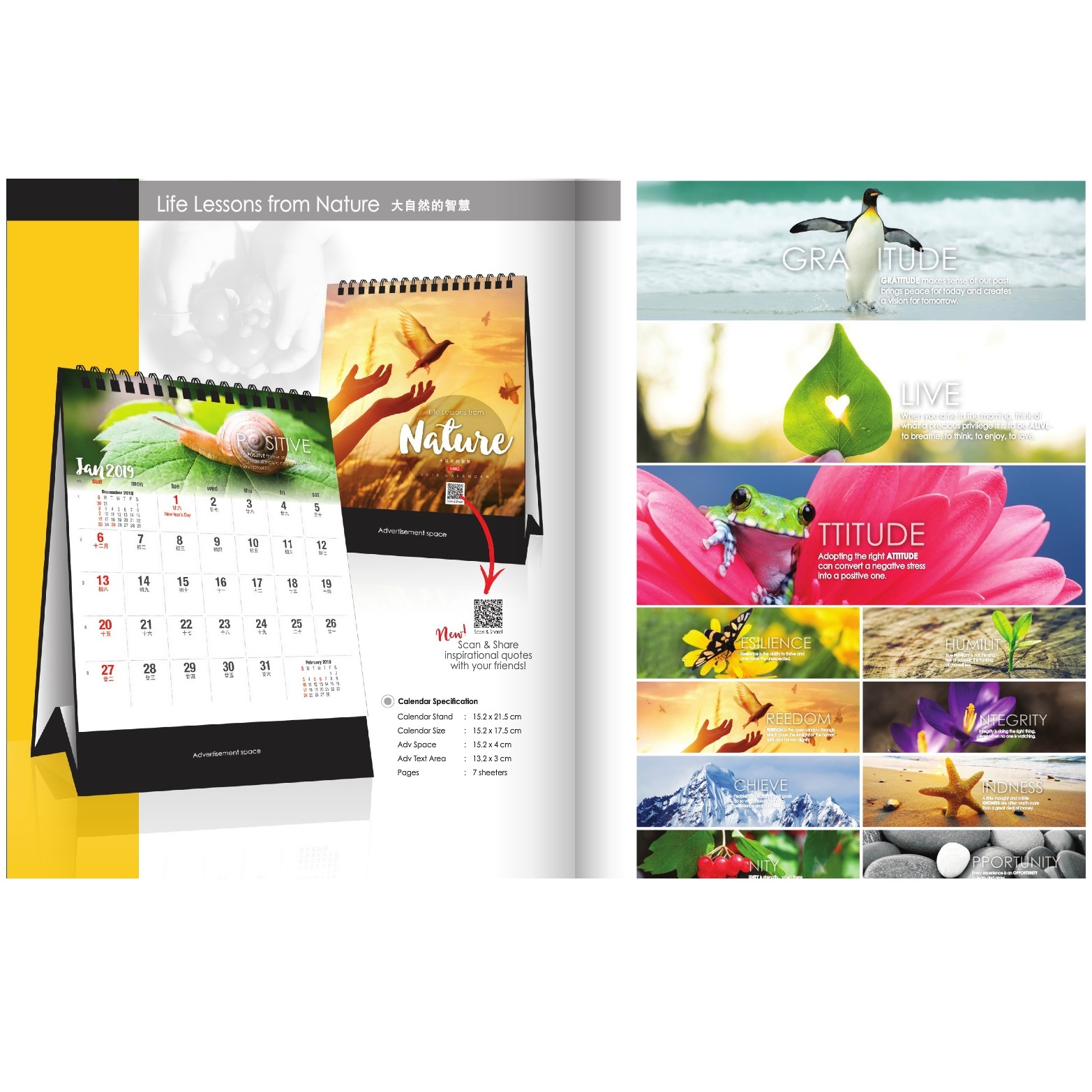Desktop Calendar (Life Lessons from Nature)