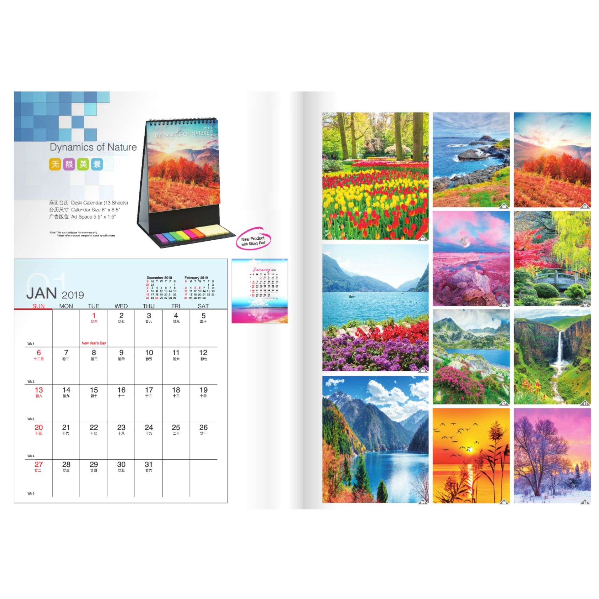 Desktop Calendar with Sticky Pad(Dynamics of Nature)