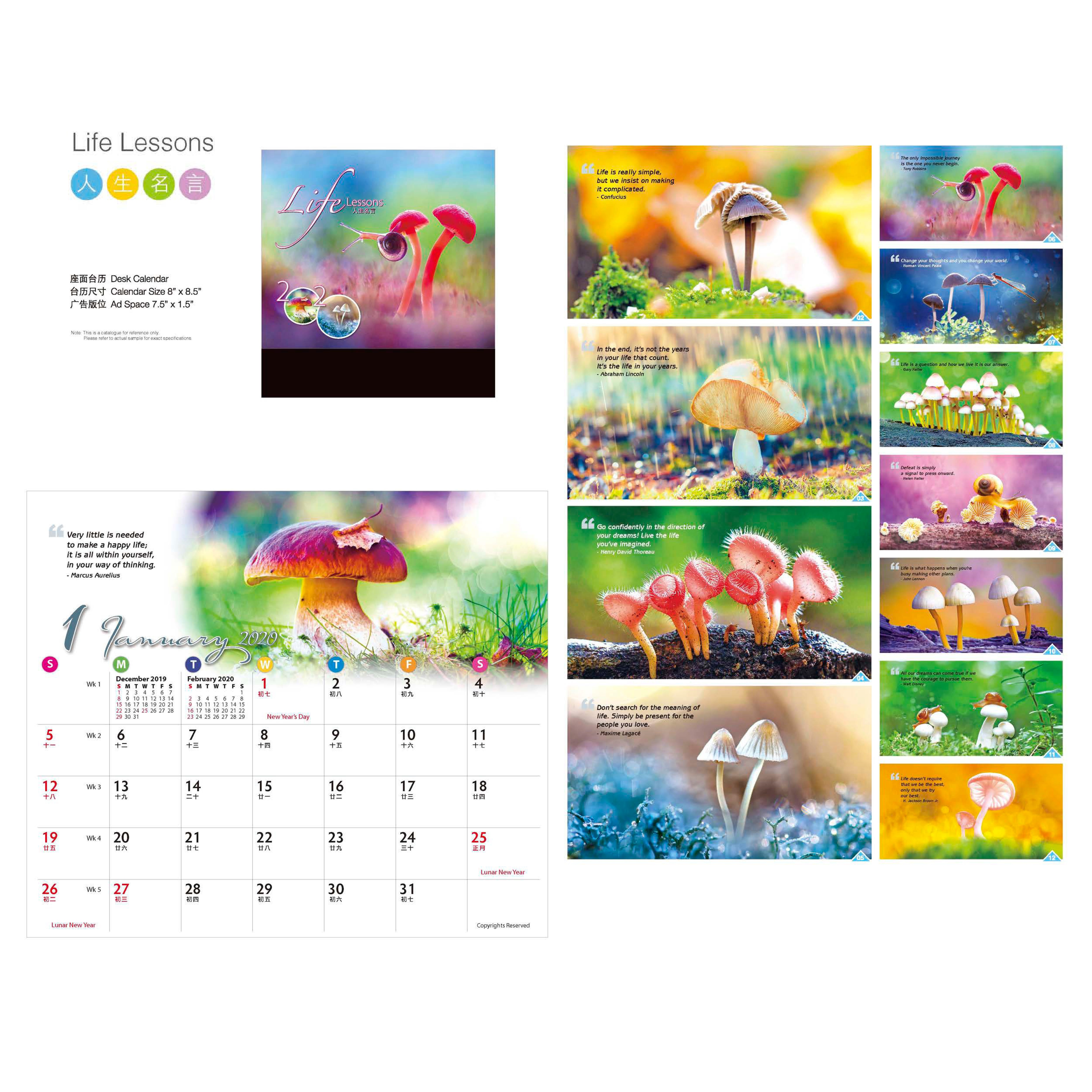 Life Lessons Desk Calendar