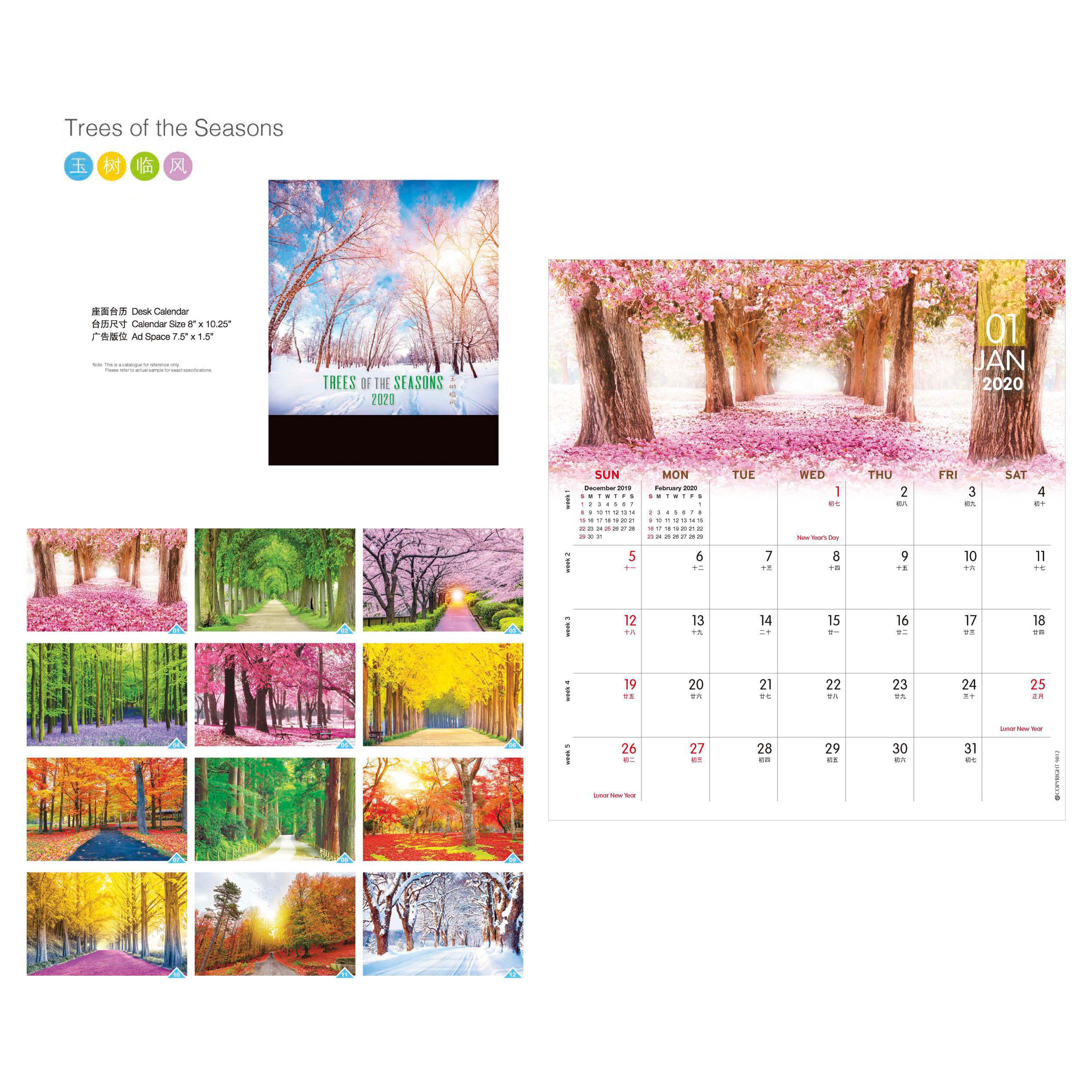 Trees of the Seasons Desk Calendar
