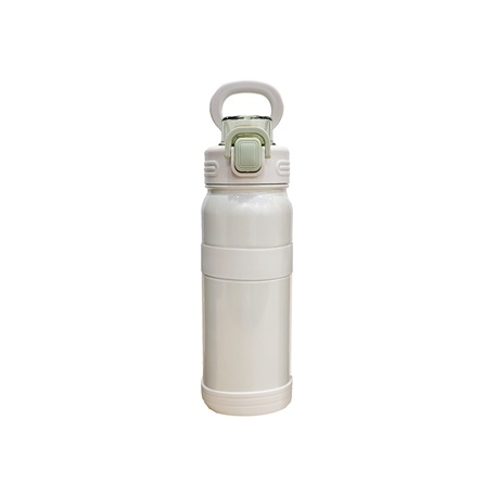 Stainless Steel Single Layer Water Bottle (750S)