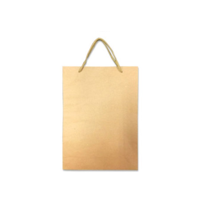Brown Craft Paper Carrier (S)