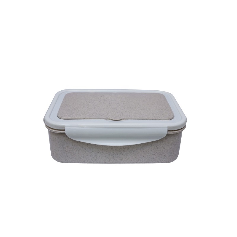 Lunch Box (36)