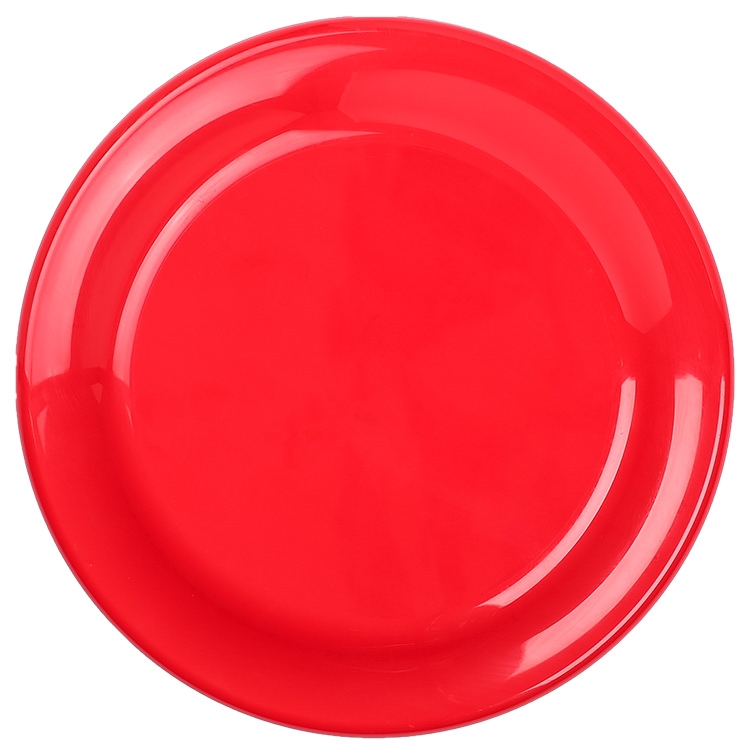 Hard Plastic Frisbee (F)