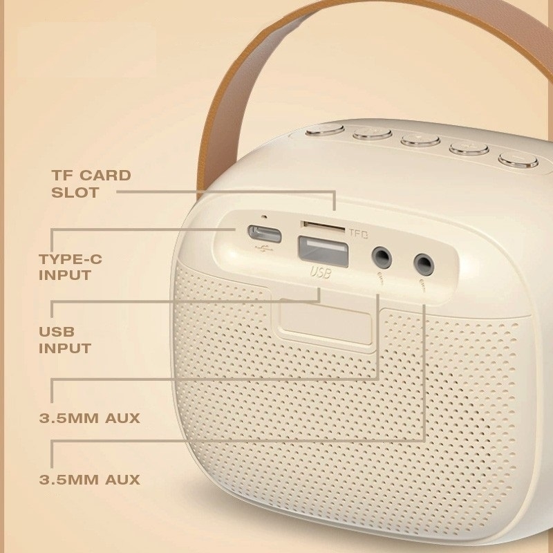 Portable Karaoka Bluetooth Speaker (30)