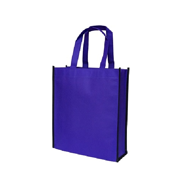 Non-Woven Bag (15)