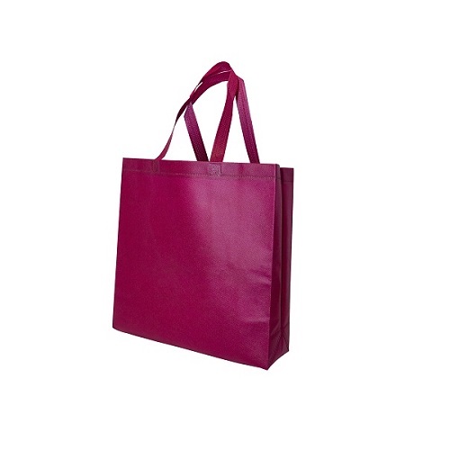 Non-Woven Bag (20)