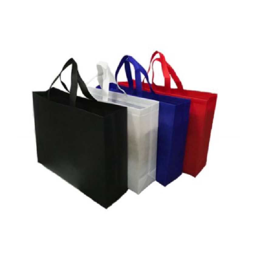 Landscape A3 Non-Woven Bag