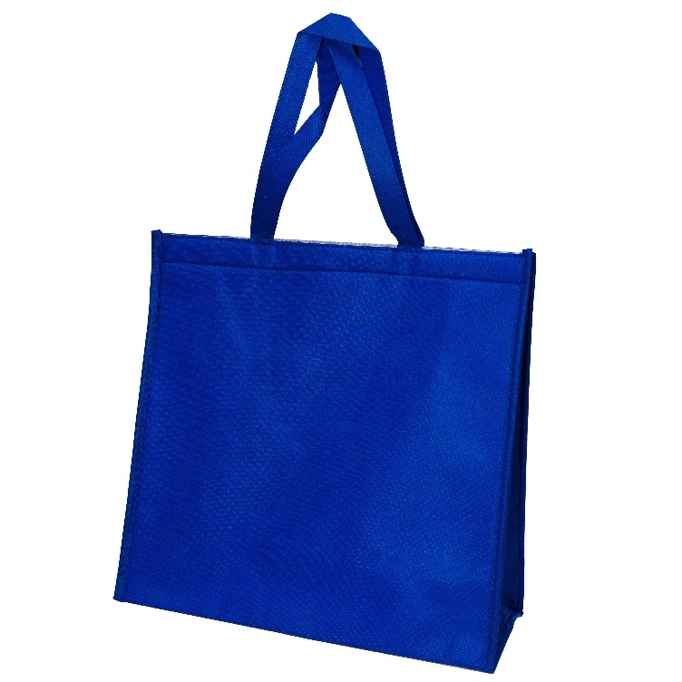 Non Woven Bag (59)