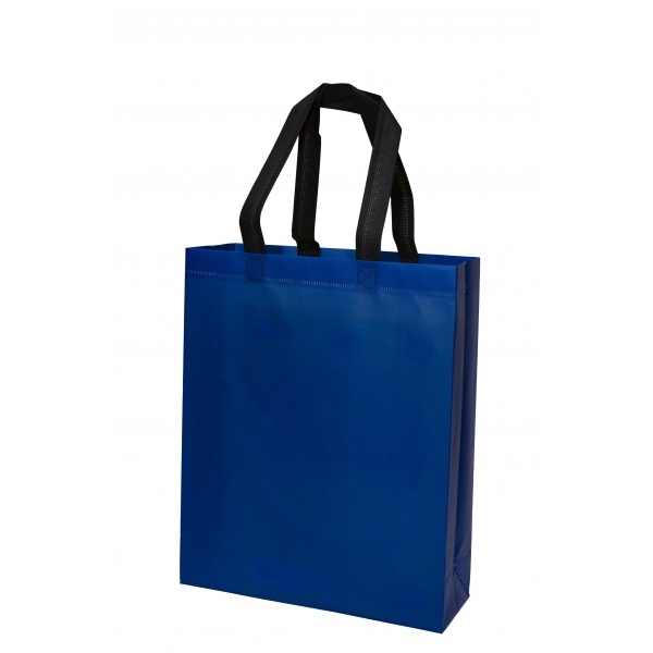 Non-Woven Bag (28)