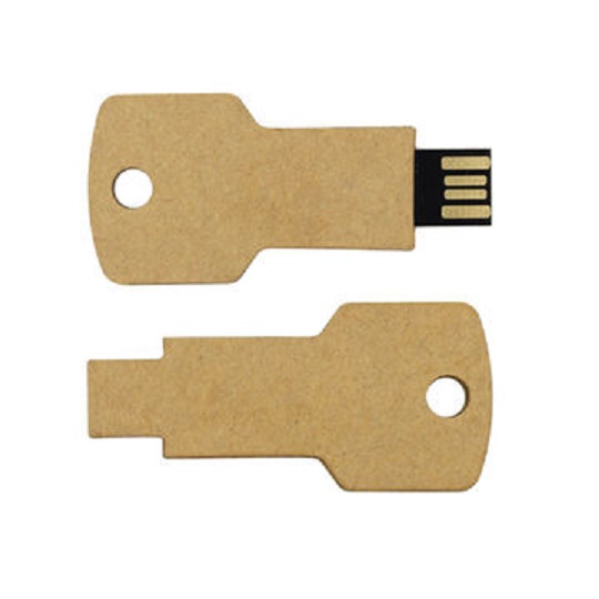 Eco Friendly Key Shaped USB, 16GB
