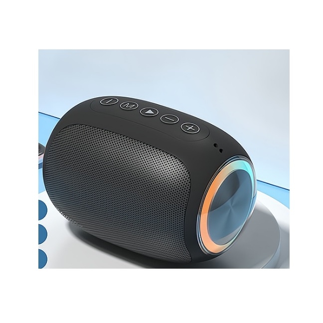 Portable Mini Speaker with FM Radio (J1)
