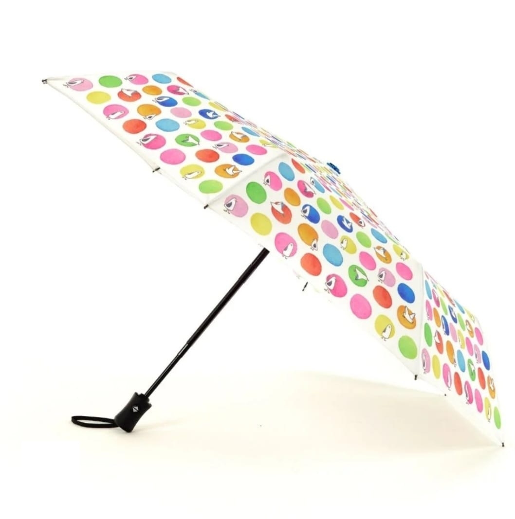 AUTO Foldable Umbrella