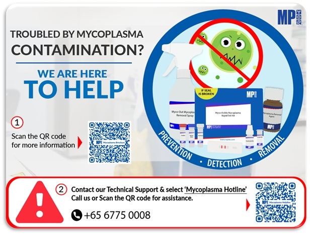 Customized Fridge Magnet (S)