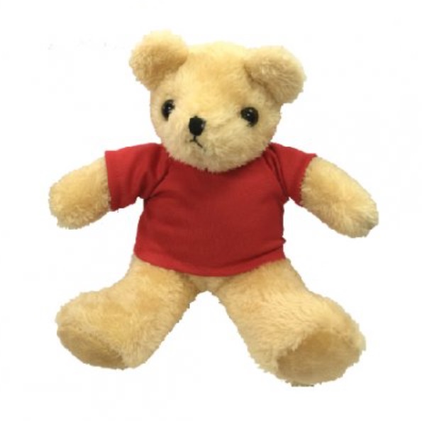 Teddy Bear with Tee