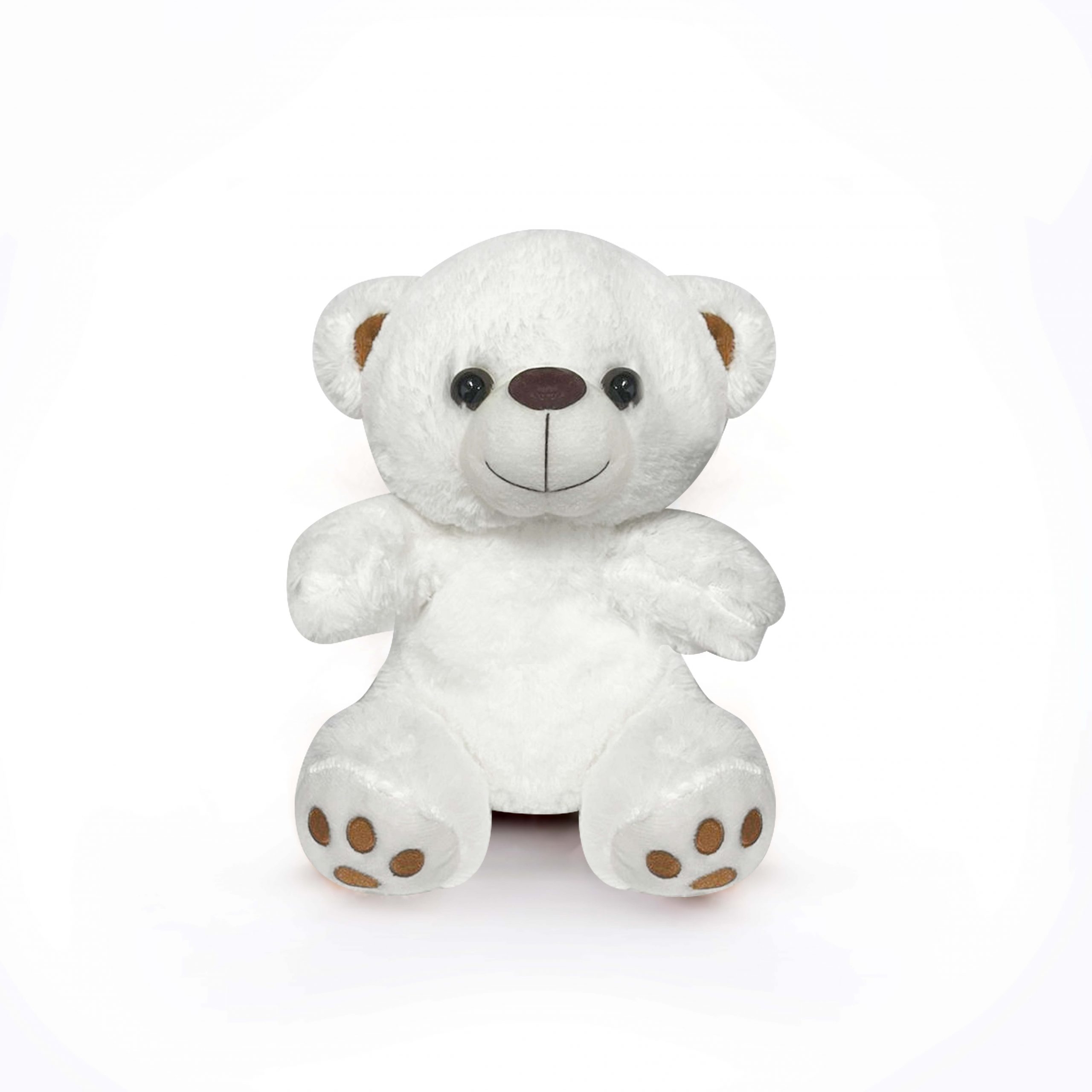 20cm Teddy Bear With Tee