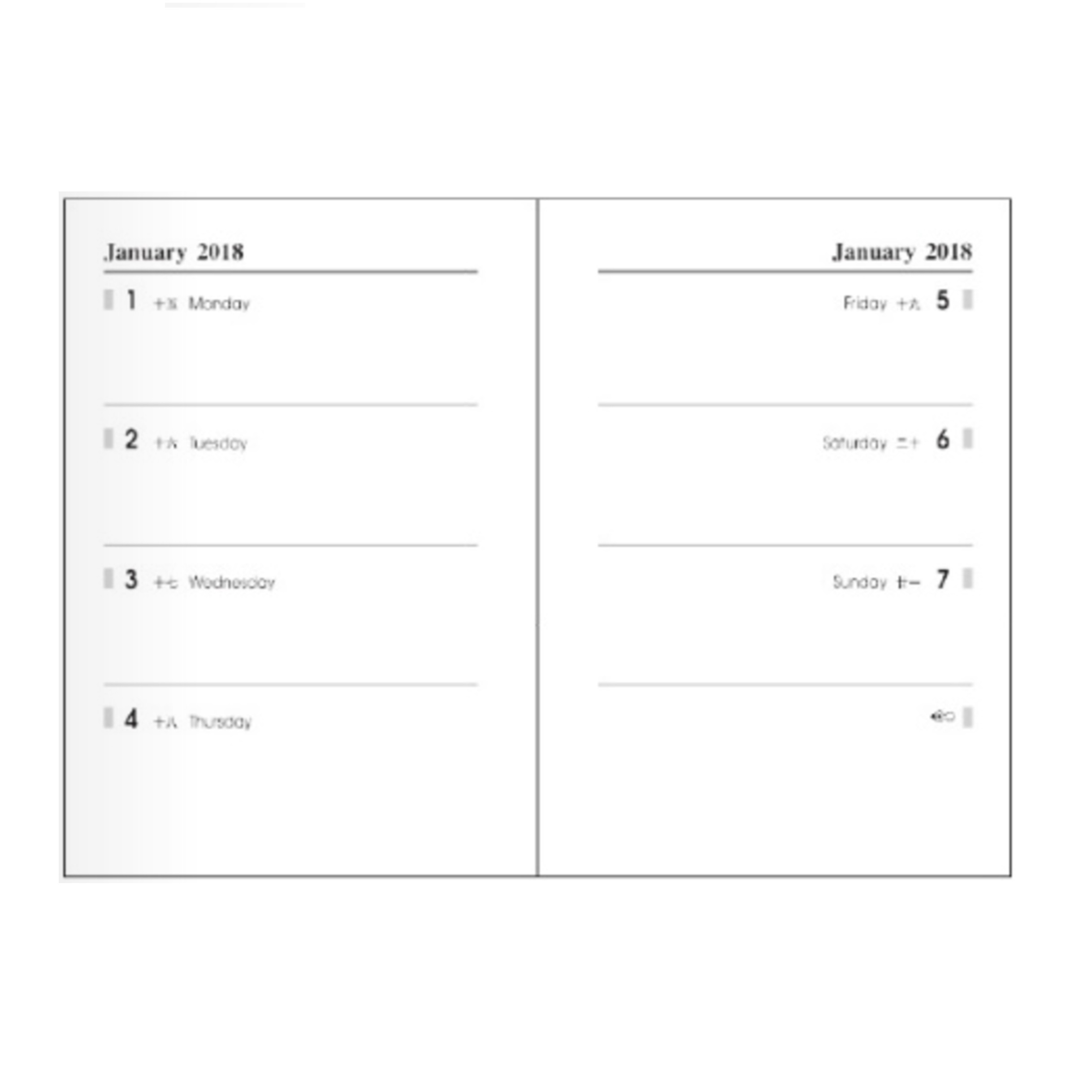 Pocket Diary (P)