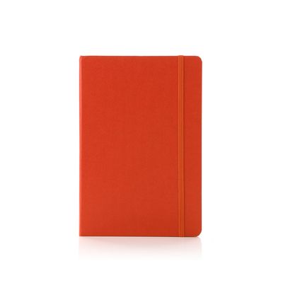 Ambassador Bound Journal Book