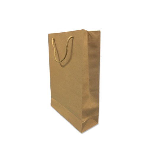 Paper Carrier_L