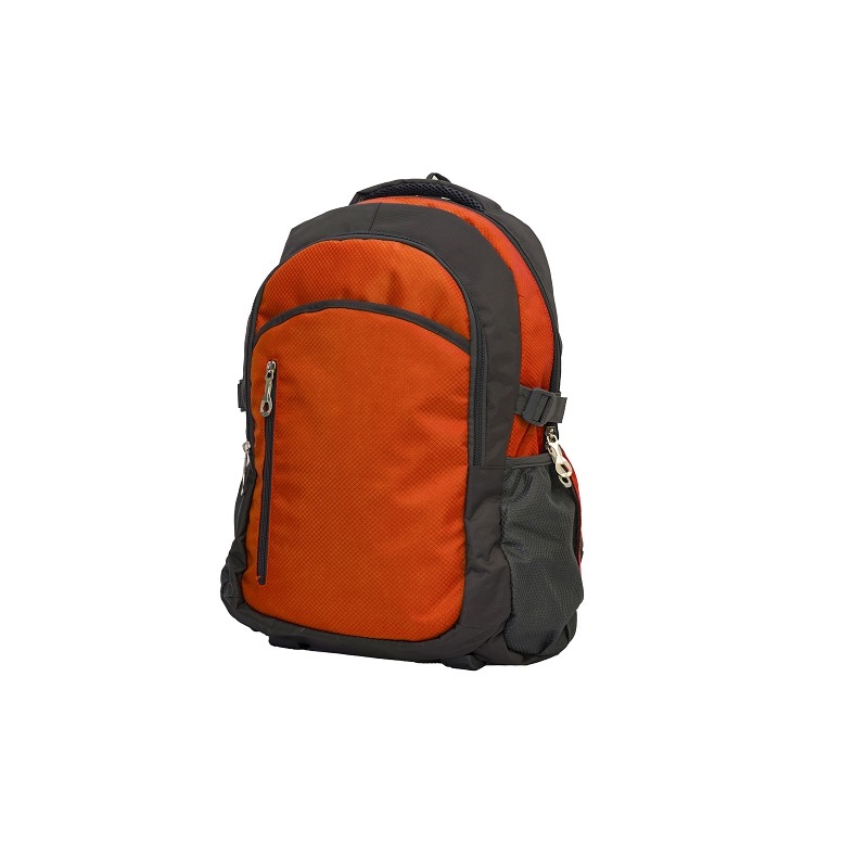 Backpack (48)
