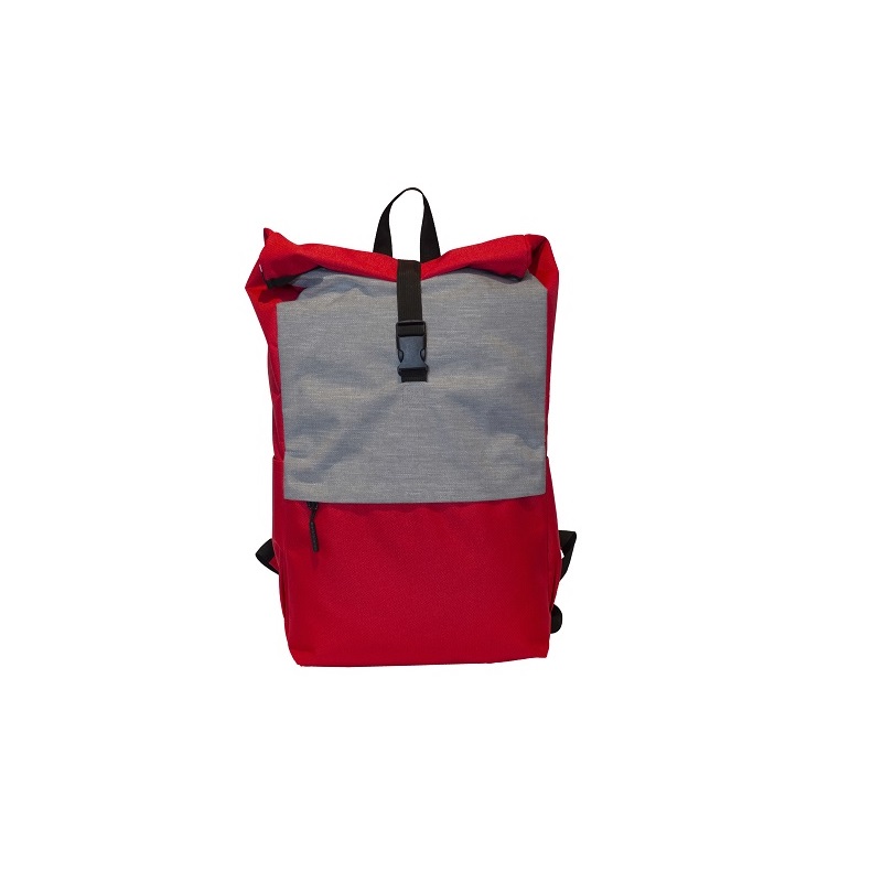 Laptop Backpack (25)