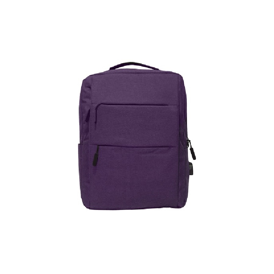 Laptop Backpack (19)